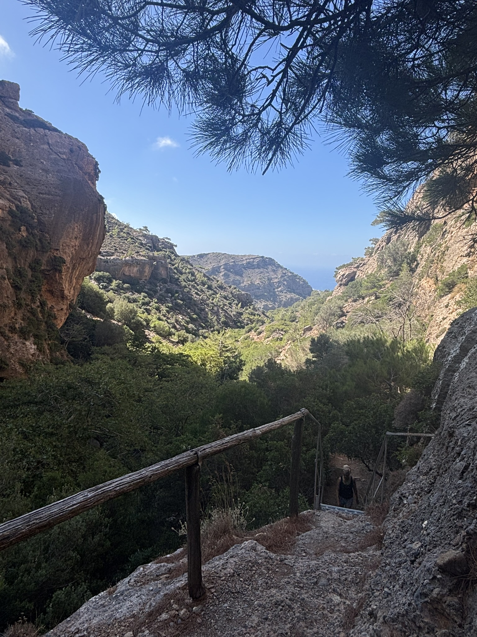 Gorge of the Pines